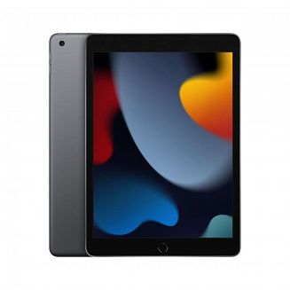 Apple iPad 10.2 Wi-Fi 256GB Space Gray - 7