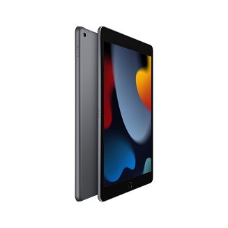 Apple iPad 10.2 Wi-Fi 256GB Space Gray - 3