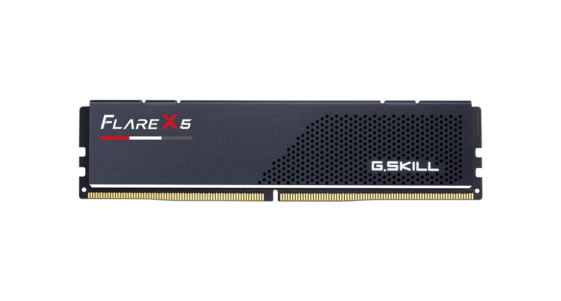 G.skill flare X5 AMD DDR5 8 GB 6000 MHz CL30 Expo F5-6000J3038F8GH1-FX5